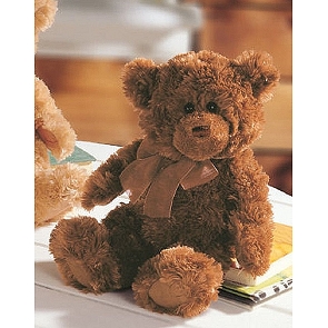 ADD-BE18  Gund 深啡色傳統泰迪熊 Corin 15309 ADD-BE18  Gund 深啡色傳統泰迪熊 Corin 15309
